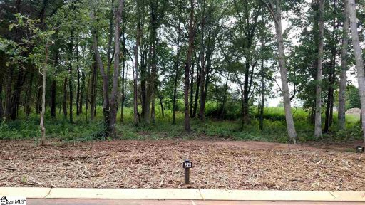 22 Meadow Reserve Place Lot 24
