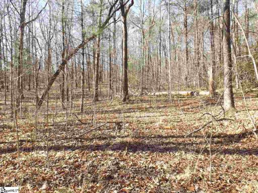 Tract 6 And 7 Mountain Ridge Estates Road lot 6 and 7  Shepherd Springs