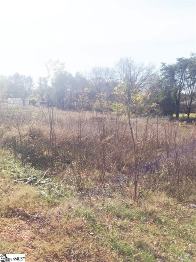 7131 White Horse Road
