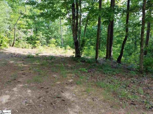119 Oolenoy Court Lot 42
