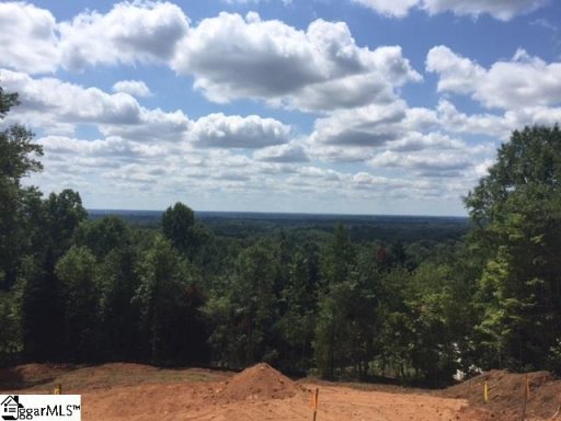 245 Lehman Moseley Ridge