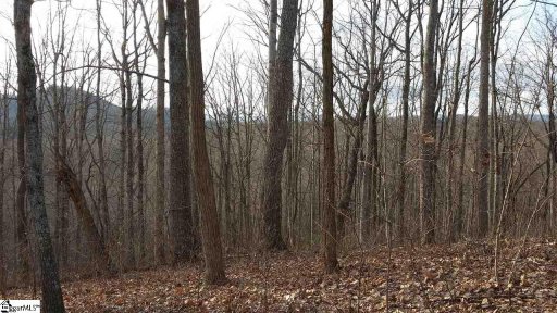 20 Valley Crest Court