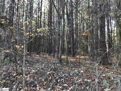 862 Dunklin Bridge Road