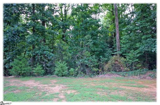 00 English Ivy Lane LOT# 40