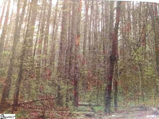 35 Goodwin Bridge Road Lot 6