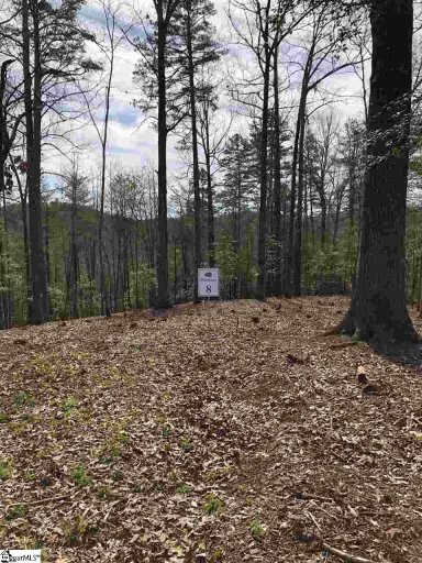 112 Old Oaks Way Lot 8