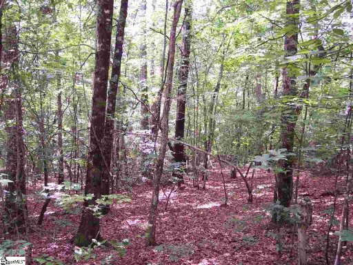 00 Shepherd Springs Drive Lot 12B Shepherd Springs