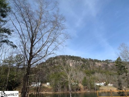 278 Big Rock Lake Road