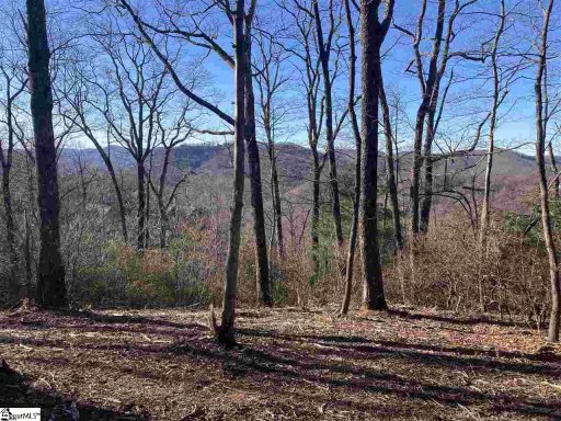 Quiet Hills Lane Lot 17