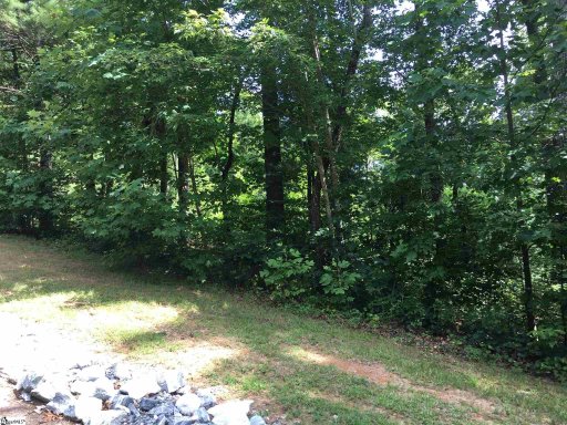 119 Oolenoy Court Lot 42