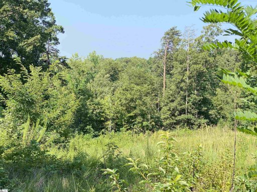 311 Old Rockhouse Road