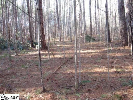 9 Matthews Creek Lane