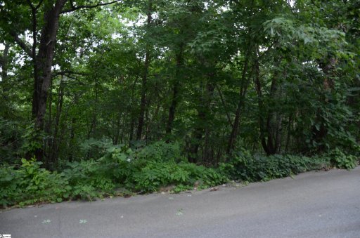 00 Altamont Forest Road LOT 18