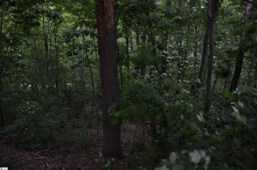 00 Altamont Forest Drive Lot 016