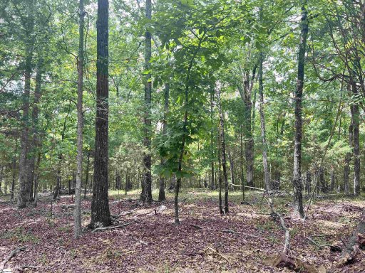 118 & 120 Indian Ridge Drive