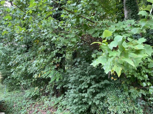 9 Willow Pines Court