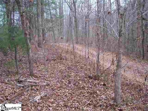 159 Broken Bow Run Lot 21 Broken Bow Run