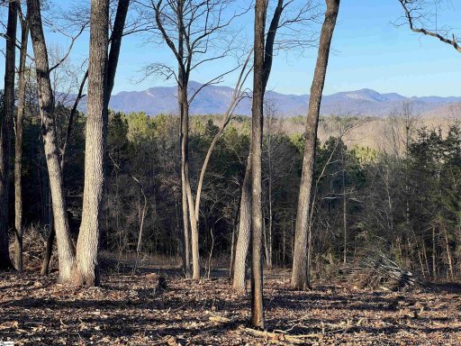 519 Hunting Hollow Drive