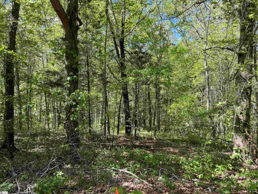 308 Camperdown Court