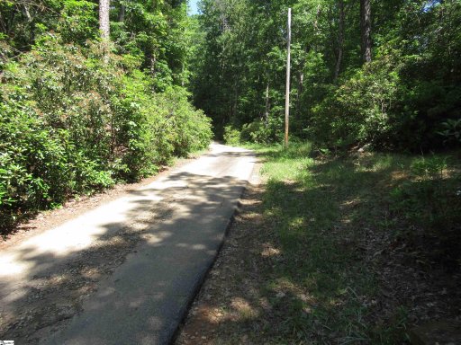 371 Gauley Falls Road