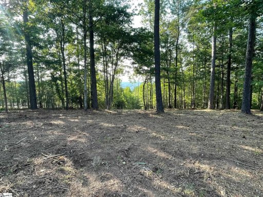 Hr61 Cliffs South Parkway