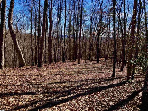 25 Cherokee Rose Trail