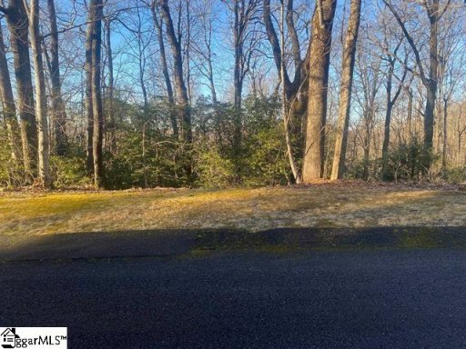 405 Cliff Ridge Drive