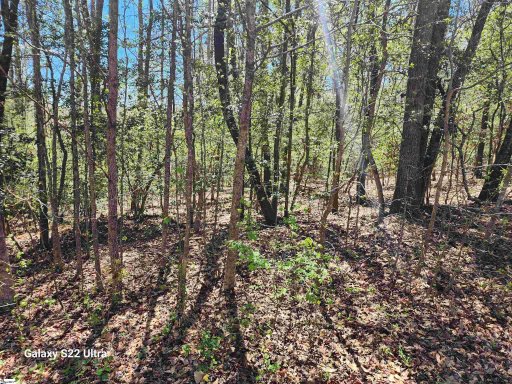 1208 Bradford Creek Lane