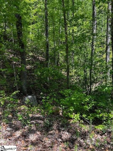000 Rockhouse Road Lot 48