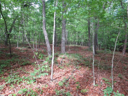 0 Raven Court Lot 35