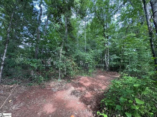 2025 Ivy Cottage Path