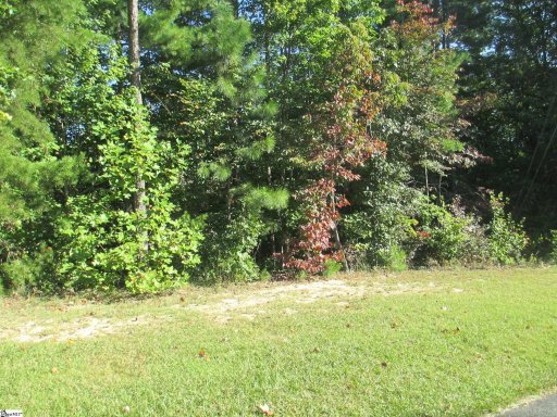 S-25 Jocassee Ridge Way