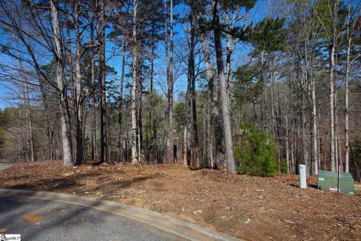 512 Birchbark Court