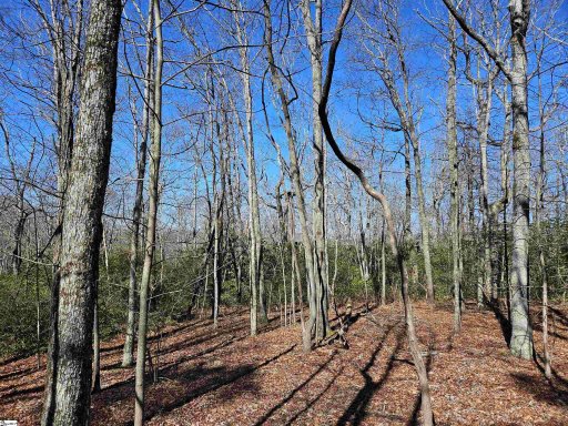 6 & 10 Larkspur Lane