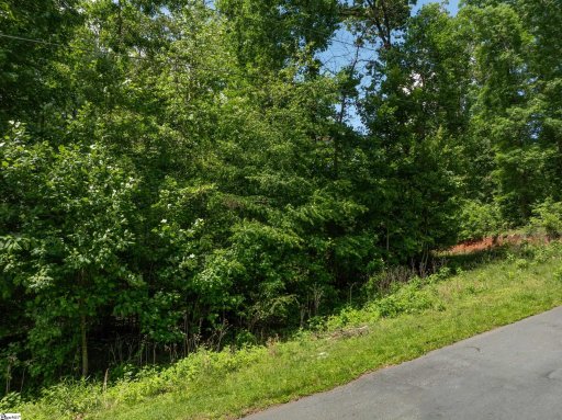 0 Brandywine Drive Lot 50