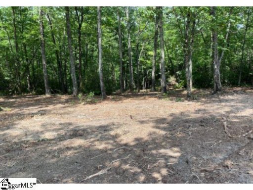 465 Highridge Parkway