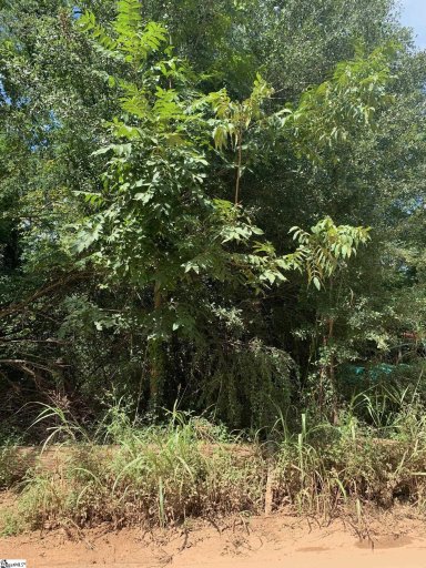 409 Lake Circle Drive