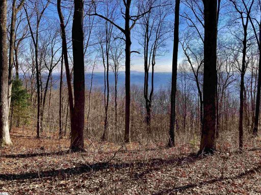 1000 Mountain Summit Road