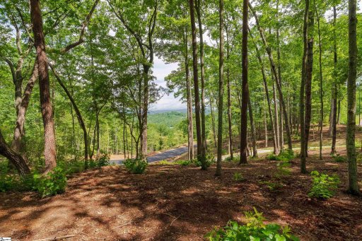 167 Cherokee Rose Trail