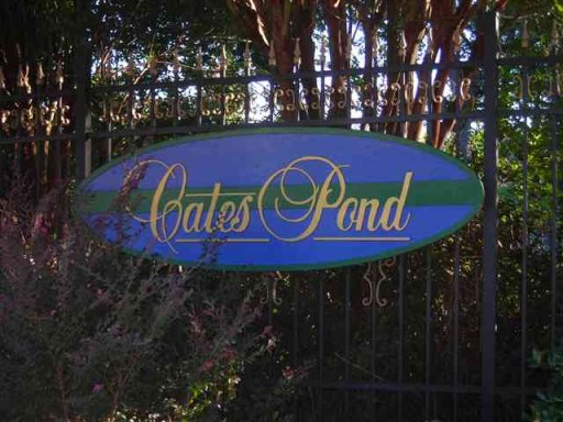219 Cates Pond Court - Lot 6