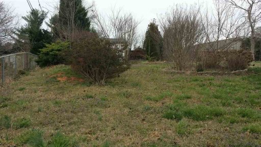 1572 E Blackstock Rd