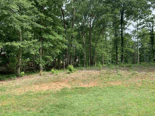 155 Cane Creek Way (Lot 15)