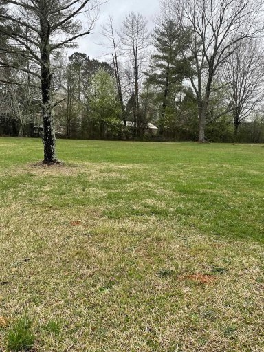 1504 E Blackstock Road