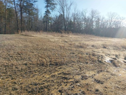 951 Wando Road