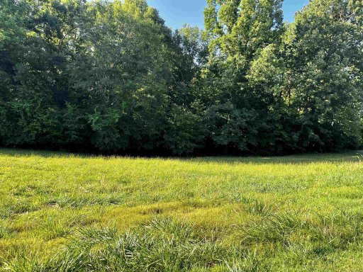 452 Congaree Road