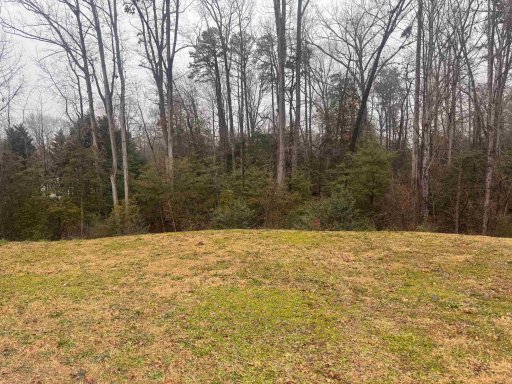 740 Bent Hollow Court