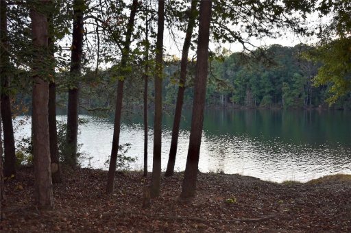 00 Hard Cash Lane Lot 14