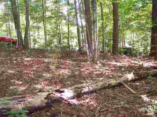 173 Broken Bow Run