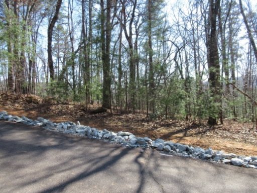 115 Oolenoy Court