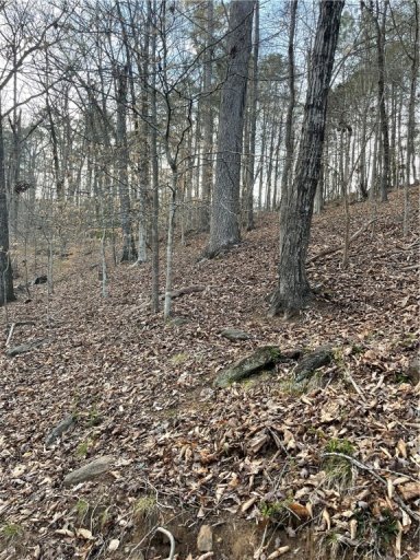 Lot 5,6,7 N Woodbury Road